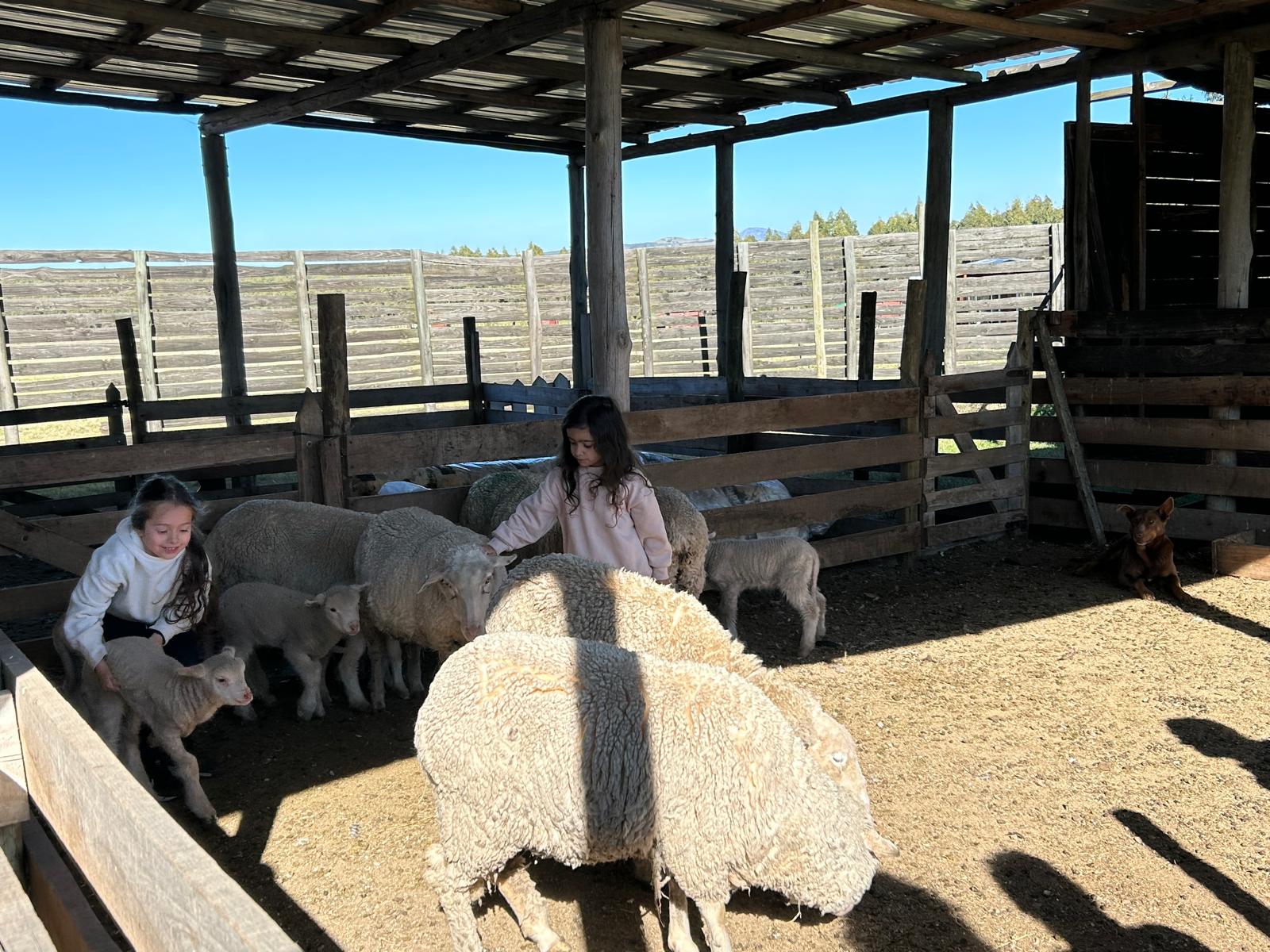 2601_WhatsApp Image 2025-12-24 at 11.43.03.jpeg